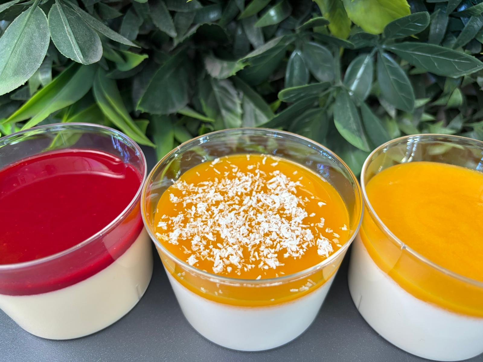 panna cotta